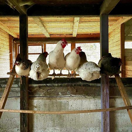 Agriturismo La Vecchia Chioderia グランドラ・エドゥニーティ エクステリア 写真