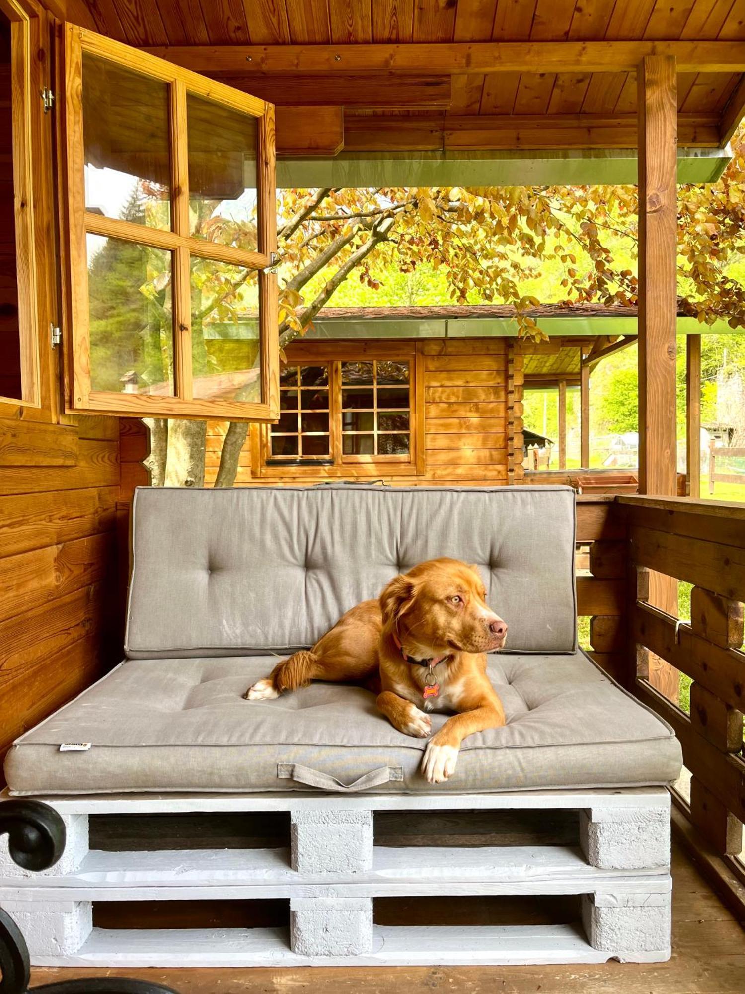 Agriturismo La Vecchia Chioderia グランドラ・エドゥニーティ エクステリア 写真