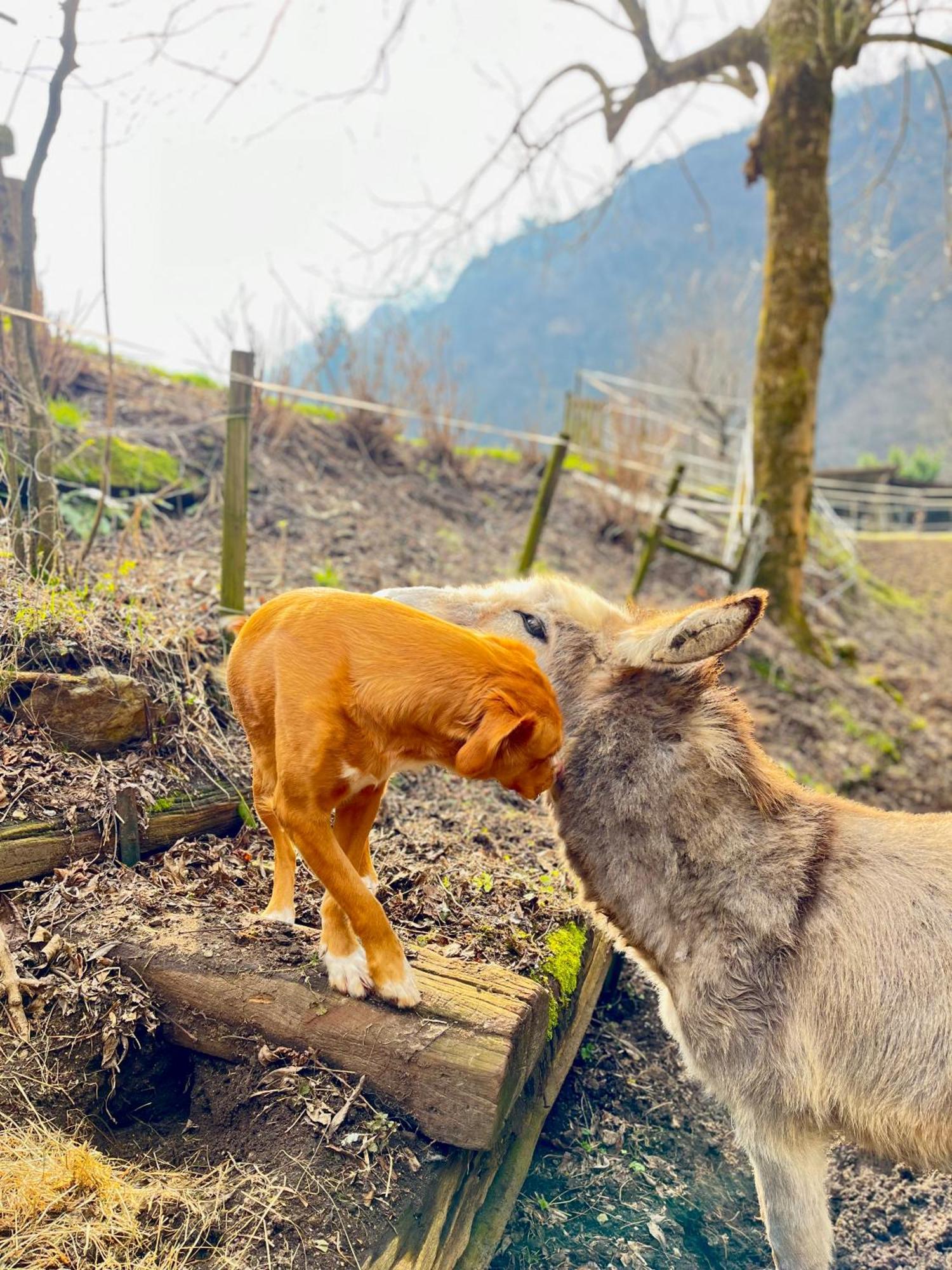 Agriturismo La Vecchia Chioderia グランドラ・エドゥニーティ エクステリア 写真