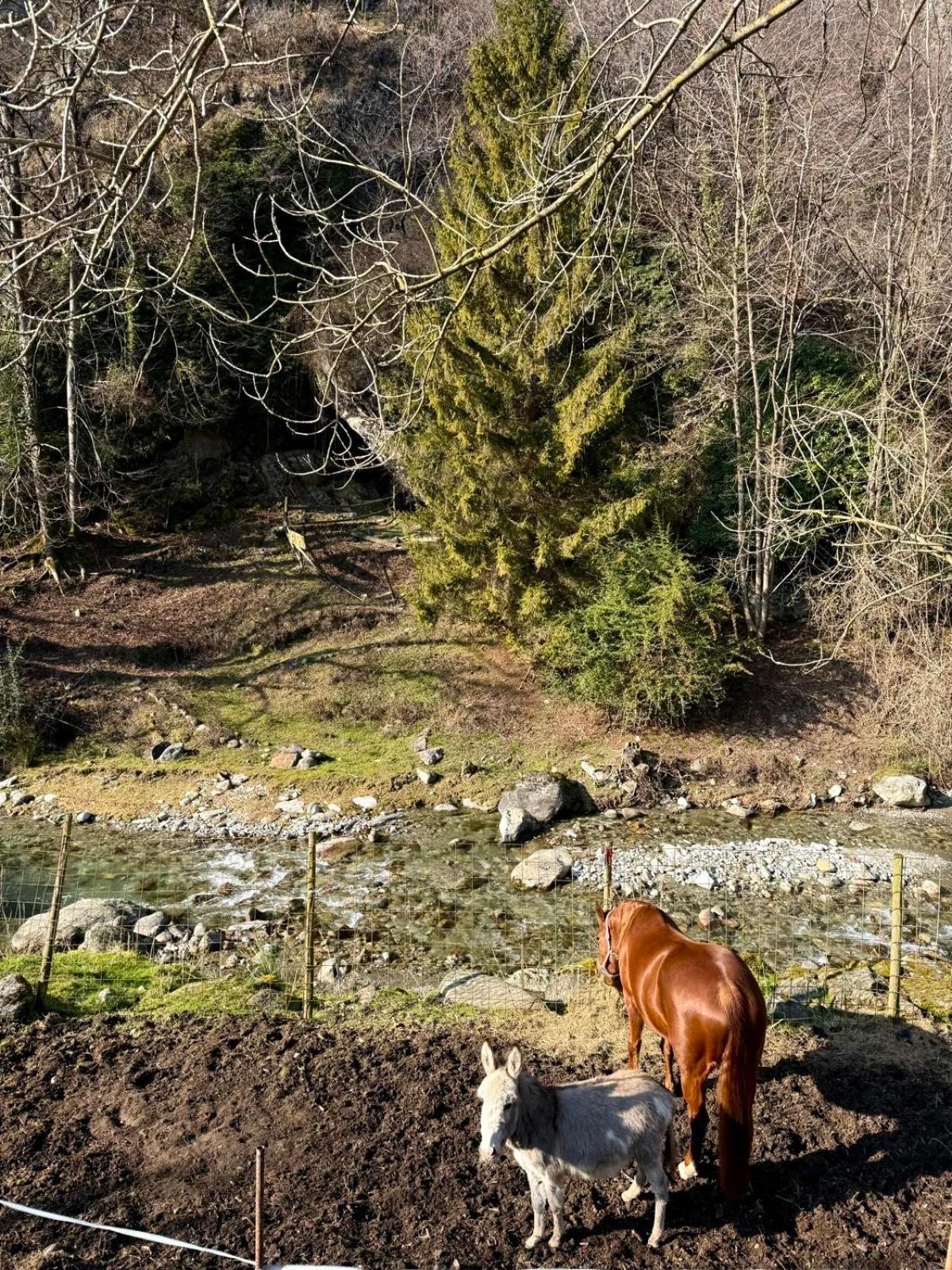 Agriturismo La Vecchia Chioderia グランドラ・エドゥニーティ エクステリア 写真