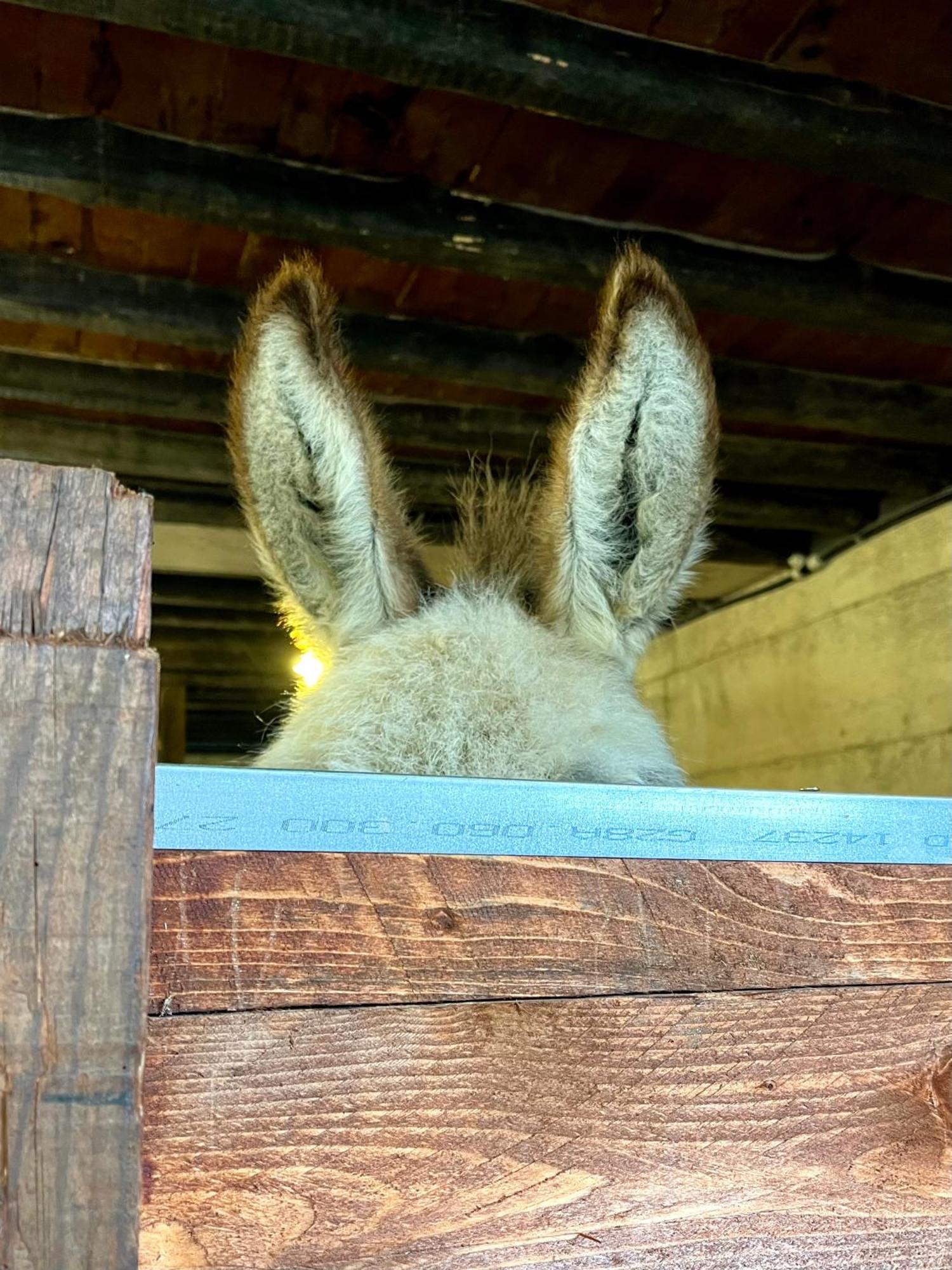 Agriturismo La Vecchia Chioderia グランドラ・エドゥニーティ エクステリア 写真