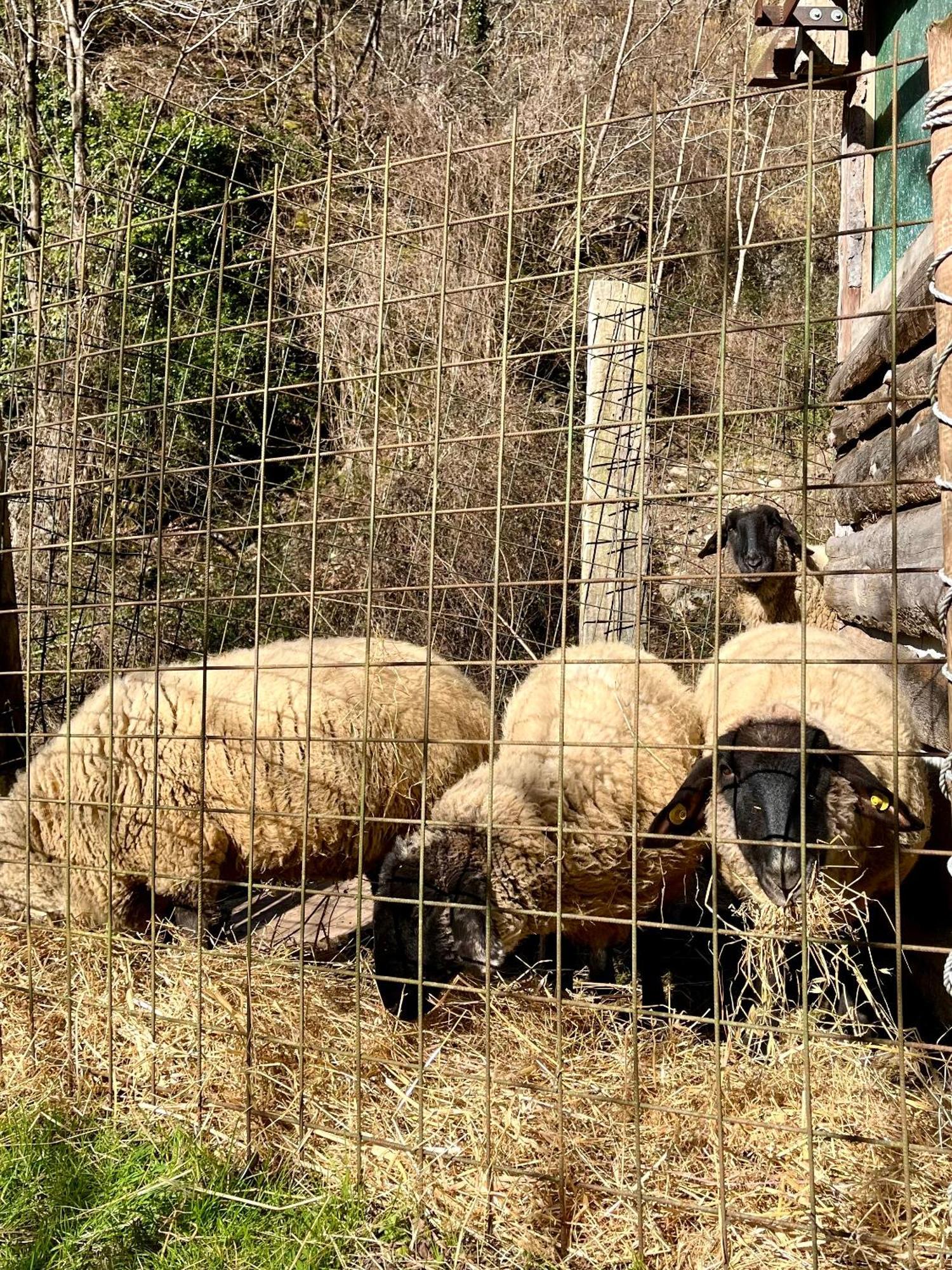 Agriturismo La Vecchia Chioderia グランドラ・エドゥニーティ エクステリア 写真