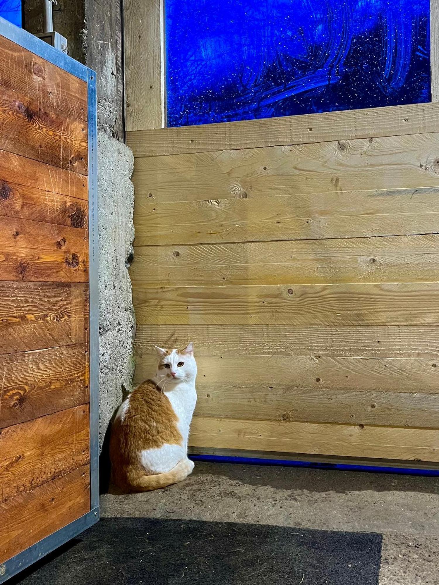 Agriturismo La Vecchia Chioderia グランドラ・エドゥニーティ エクステリア 写真