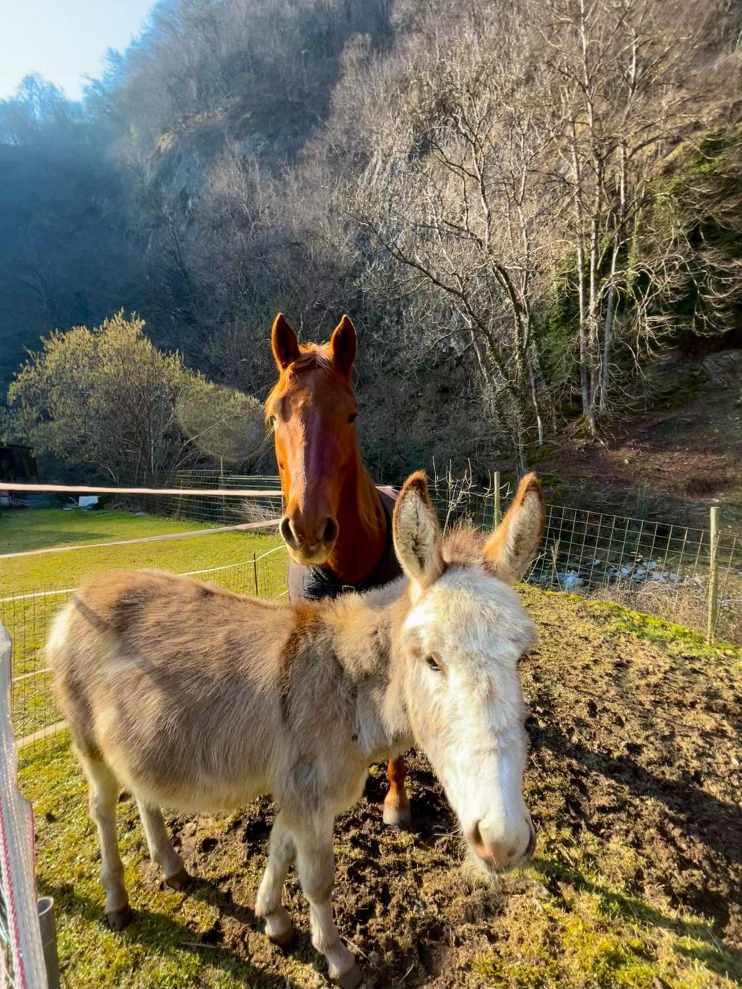 Agriturismo La Vecchia Chioderia グランドラ・エドゥニーティ エクステリア 写真