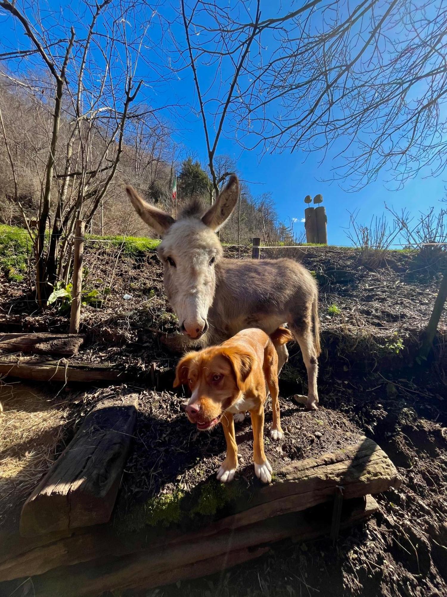 Agriturismo La Vecchia Chioderia グランドラ・エドゥニーティ エクステリア 写真